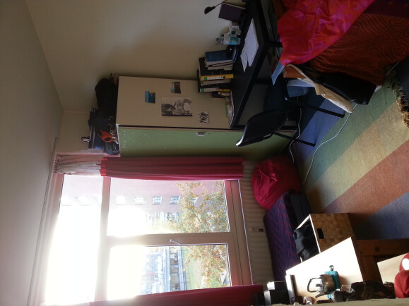 De huidige bewoonster heeft de kamer zo ingericht, voor de volgende huurder blijft de kast en het bed (inclusief matras) staan, ook de gordijnen blijven hangen.