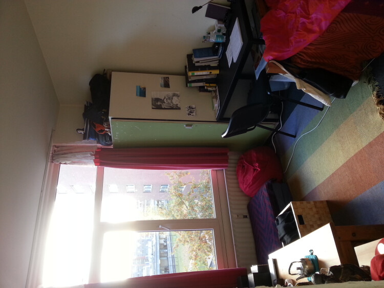 De huidige bewoonster heeft de kamer zo ingericht, voor de volgende huurder blijft de kast en het bed (inclusief matras) staan, ook de gordijnen blijven hangen.